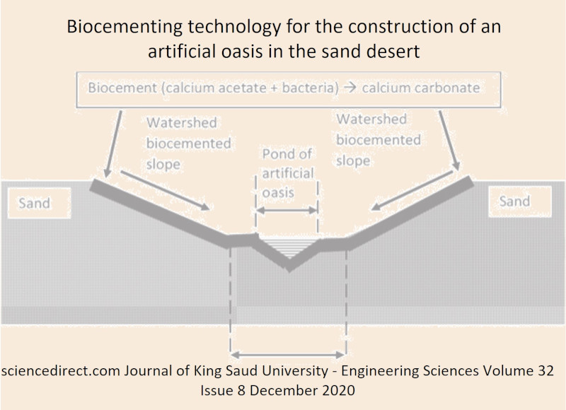 sciencedirect.com