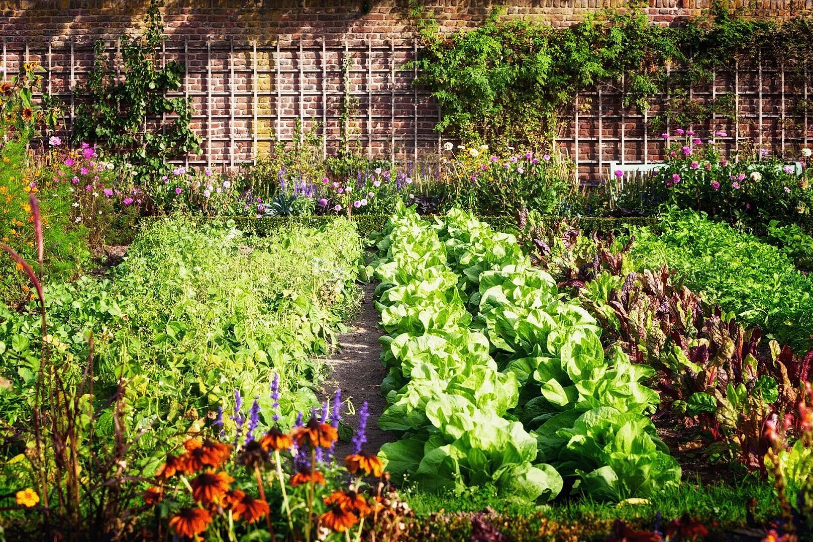 Urban gardening firina istockphoto.com